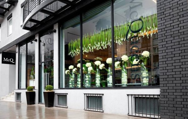 Blog Press Release Zen