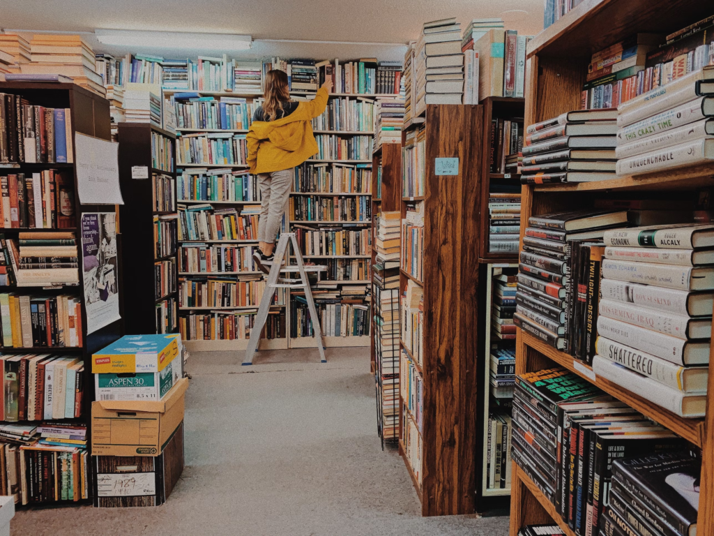 A woman on a ladder in a new bookstore, arranging books.